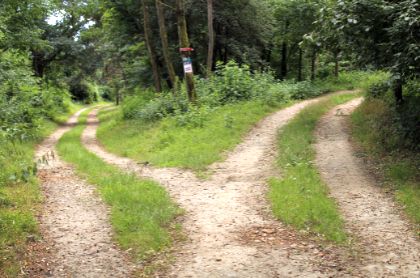 Wandelcoaching - kom in beweging voor meer rust en helderheid